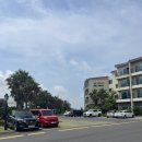 블루하와이호텔 이미지