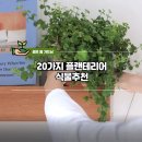 플랜테리어 홈가드닝 이미지