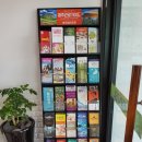 오션트리 호스텔 이미지