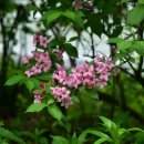 서울숲2 이미지