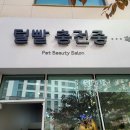 털빨충전중 이미지