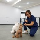 키움동물병원