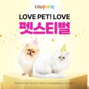 아기 강아지 필수 용품 5가지!(쿠팡 내돈내산 퍼피용품) [1인가구 반려견 키우기 초보]
