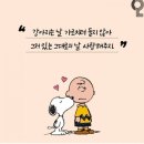 국제출장세차