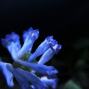 수철리 이미지