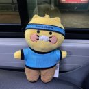 (주)더펫플레이스 | 세이브레이스2025 놀란 참가 후기