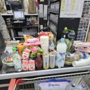 1765 | [촌캉스 내돈내산 숙소 추천] 횡성 1765삽교 스테이