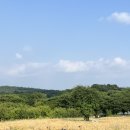 정원랜드 - 횡성군 전재로67번길 35 | 정원랜드