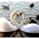 마포전철역 1번출구 이미지