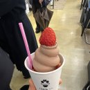서울프라임치과 네이버블로그