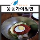 웅동가야밀면 이미지