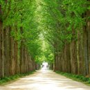 나주시티투어버스 이미지