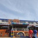 소양초등학교 | [재섭외] &#34;담당자가 전근 가면서까지 인수인계한 운동회 MC, 도대체 왜?&#34;