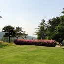 강산회원권거래소 이미지