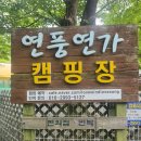 연풍연가캠핑장 | 자연과 함께하는 연풍연가 캠핑장, 아이들이 좋아해요!