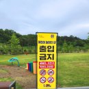 논산태권도장 | [충남 논산] 아이와 무료로 즐기기 좋은 딸기향농촌테마공원!
