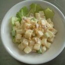 솔 피시 이미지