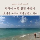 씨엠트레킹투어 | 하와이 여행 꿀팁 총정리, 섬 선택부터 사전 예약까지
