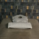 온정동물병원 | 부산마사지샵/ 시원한 연산동마사지 제이웰 바디케어 부산본점