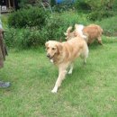 휴가민박 이미지