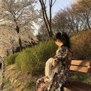 BHC 춘천호탤공지천점 | [곰팸일상] 곰팸 봄 나들이 : 공지천 벚꽃구경 &amp; BHC공지천