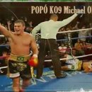 참피온복싱 이미지