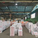 종합청과 이미지