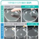 [기업분석] 바이오플러스_2편_투자아이디어, RISK, 밸류에이션