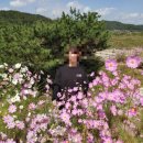 늘배움평생교육원 이미지