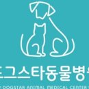 도그스타동물병원 이미지
