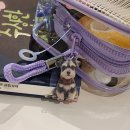 위례성대로102(스타벅스앞) | 이렇게 행복해도 되 지니?🧞‍♂️ 1월 기록✨️