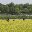 고령촌돼지찌개 이미지