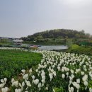 삼학도 요트마리나 인근 이미지