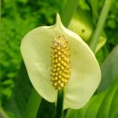 우리들 세상 이미지