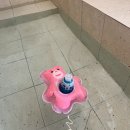 순천 감성 숙소로 왕 추천하는 독채 나모 온