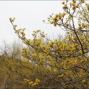 섬진강제첩국 이미지