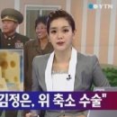 치즈씨 이미지