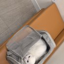 야당동물병원 | 🐶🐱야당역 동물병원 고양이 동물병원 친절 깔끔 예민 냥이 위한 배려심 굿!!추천!! 《야당마을동물병원》