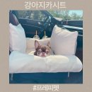 강아지 카시트 시야차단 프레피펫 풀커버 카시트