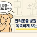 나랑동물병원 이미지