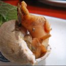 영일식당 네이버블로그