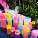 타파웨어 상록수 이미지