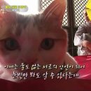 상귀농장 이미지