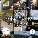 필제주 게스트하우스 | 9박 10일 제주도 힐링 겨울여행🍊 - 제주공항근처 제주혼술바 자유의지 점보네 게스트 하우스 앙뚜아네트