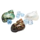 바이위즈 이미지