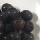 잇팅잇팅