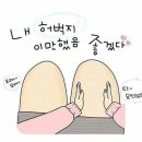 올리브영은행나무