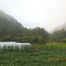 물마루 캠핑장 이미지