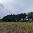 순포습지 이미지