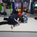 도담 합기도 체육관 이미지